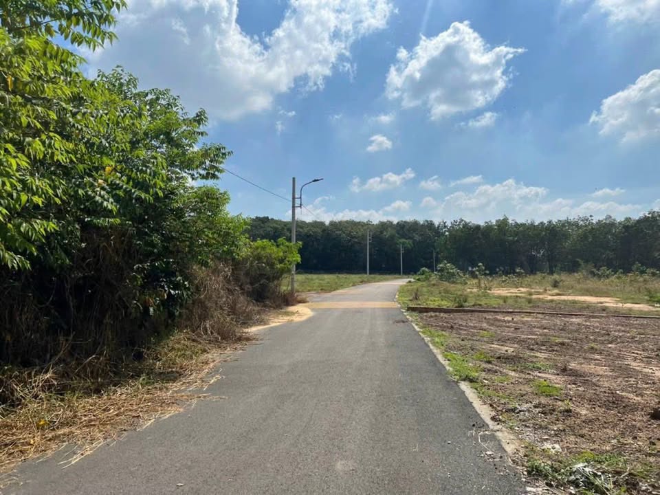 Đất nền Khu phố 2 Tân Định 200m² giá 1.4 tỷ - Cơ hội đầu tư lý tưởng!