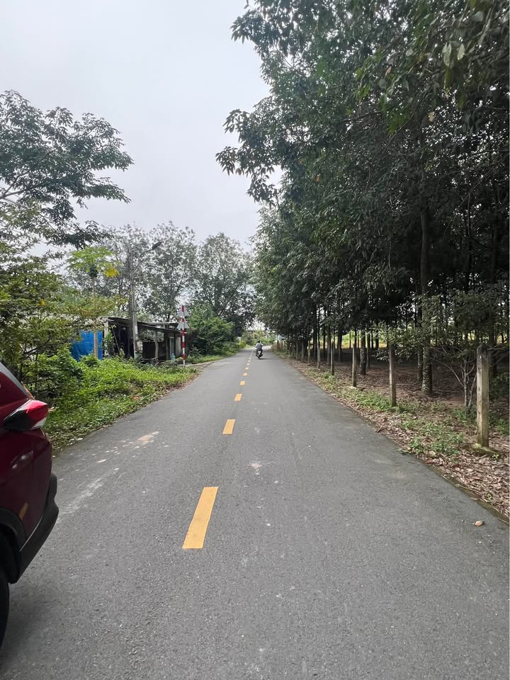 Đất nền An Điền Bến Cát 200m² giá 1 tỷ - Sổ đỏ chính chủ, đầu tư sinh lời!