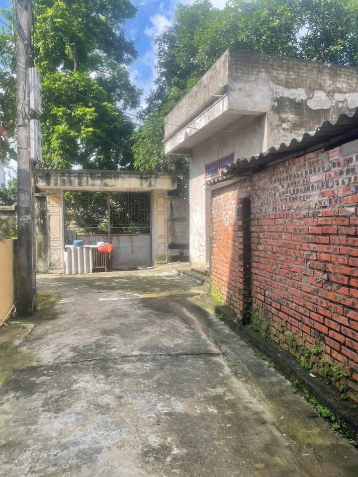 Đất Trạm Lộ, Thuận Thành 100m² giá 2.3 tỷ - Sổ đỏ chính chủ, ô tô vào tận nơi!