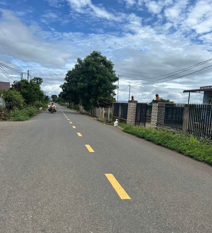 Lô đất Tân Hội 155m² giá 790 triệu - Cơ hội đầu tư tuyệt vời!