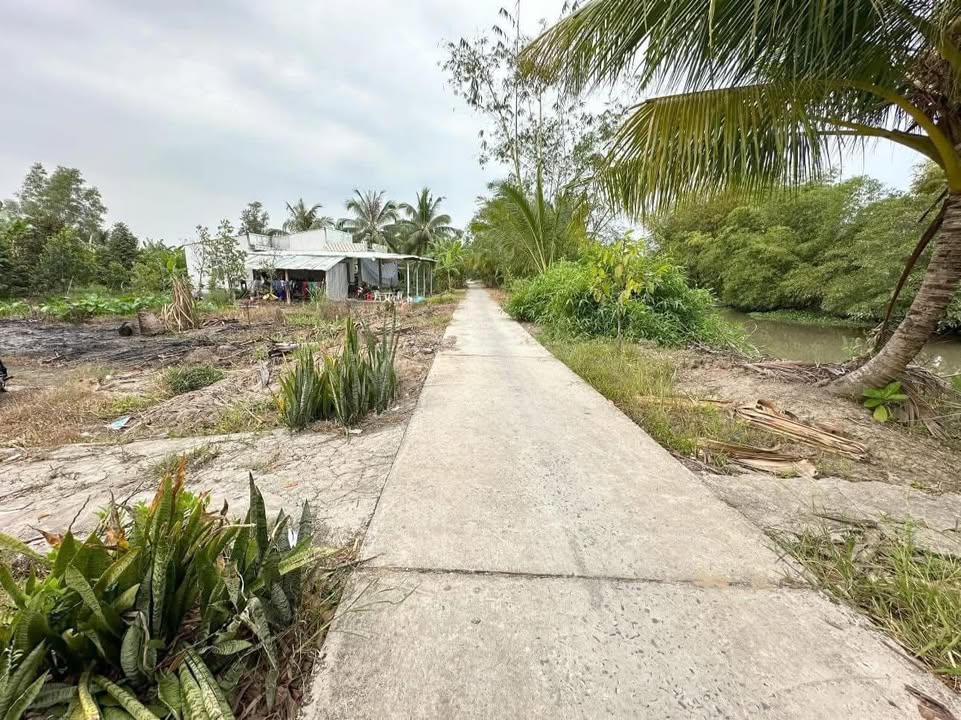 Đất nền 7x72m tại Hiệp Hưng, Hậu Giang chỉ 300 triệu/nền - Đầu tư sinh lời ngay!