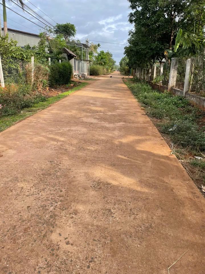 Đất nền Cư M'gar Đắk Lắk 125m² giá 599 triệu - Sổ đỏ chính chủ, vị trí đẹp!