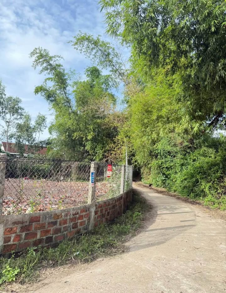 Đất nền Kiều An, Cát Tân, Phù Cát 190m² giá 290 triệu - Lô góc tiềm năng đầu tư!