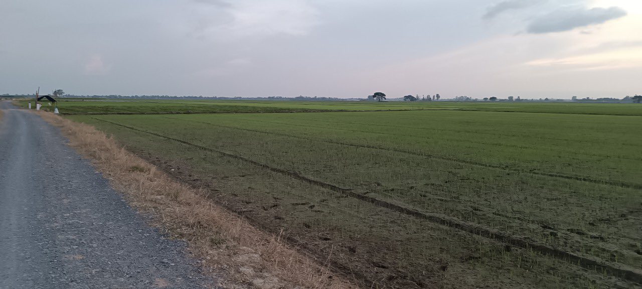 Đất nền Tân Thành B, Tân Hồng 12.960m² giá 1,8 tỷ - Mặt tiền nội đồng thuận lợi!