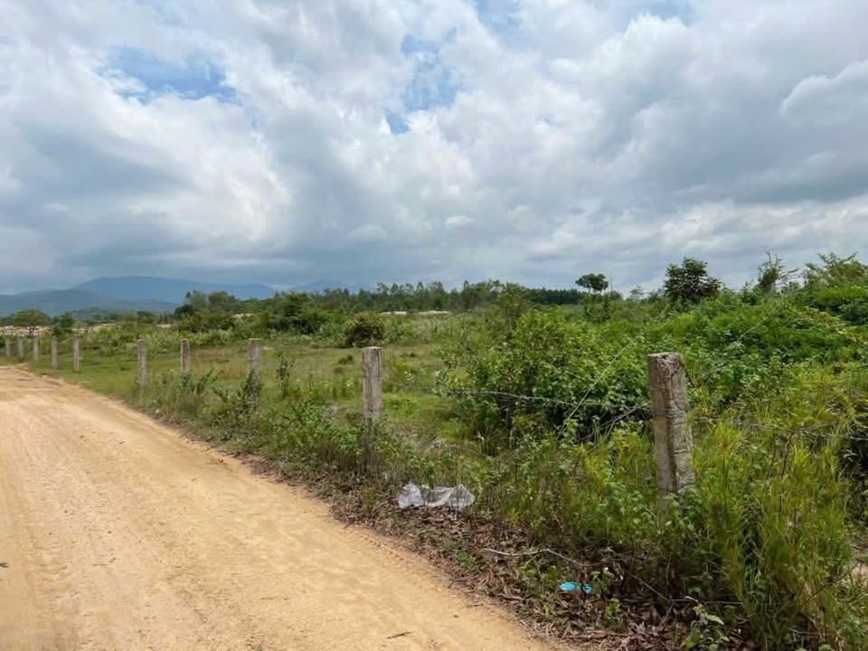 Đất Farm Thôn Trũng Liêm 10,800m² - Đường thông tứ hướng, cách Phan Thiết chỉ 12km!