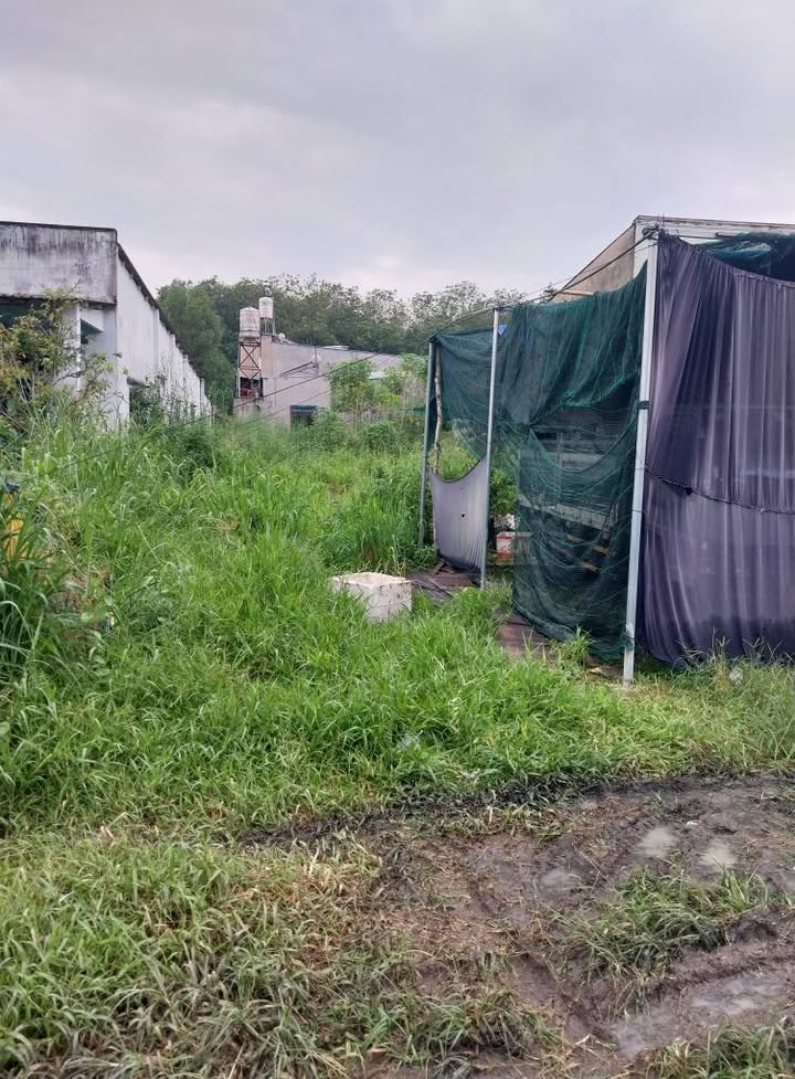 Đất nền Phú An, Bến Cát, Bình Dương 342m² giá 2 tỷ - Đầu tư sinh lời tuyệt vời!