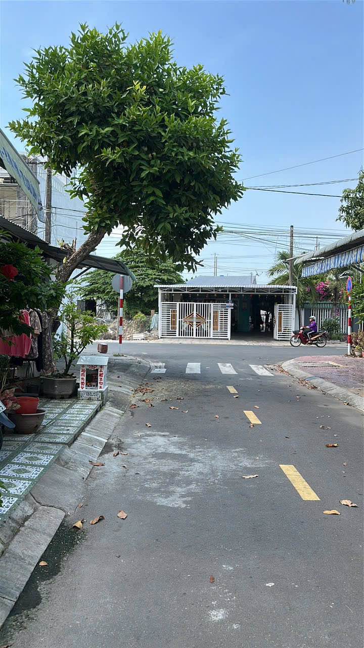 Nhà cấp 4 Phường Mỹ Trà, Cao Lãnh 84m² giá 1.75 tỷ - Dọn vào ở ngay!