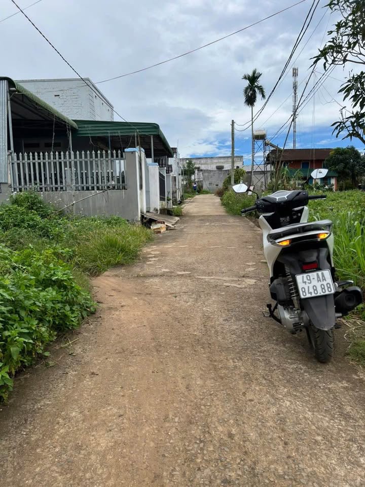 Bán đất hẻm Thống Nhất, Phú Hội, Đức Trọng 155m² - Đầu tư sinh lời hấp dẫn!