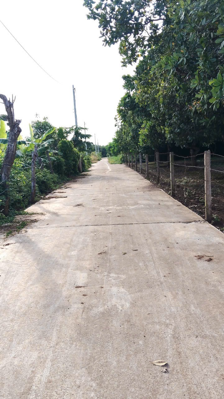 Đất nền tại TT Đất Đỏ, Bà Rịa - Vũng Tàu 516m² chỉ 1.2 tỷ - Pháp lý rõ ràng!