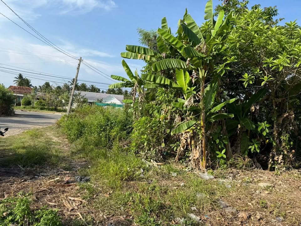 Đất nền 559m² tại Tân Mỹ Chánh, Tiền Giang - Giá chỉ 2 tỷ VND