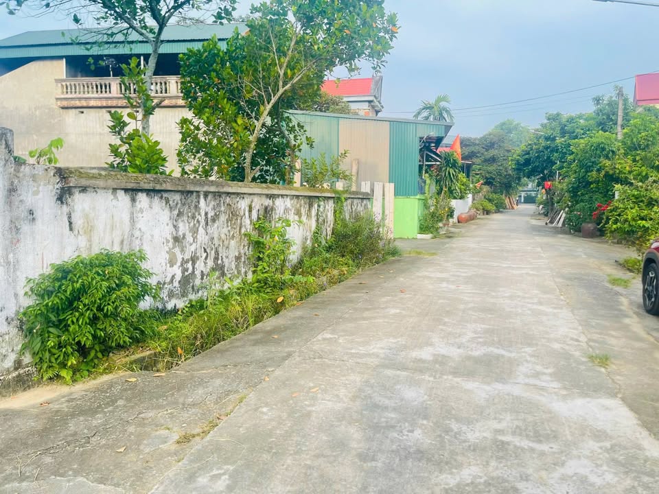 Đất thổ cư Xuân Minh Thọ Xuân 115m² giá 300 triệu - Cơ hội đầu tư tuyệt vời!