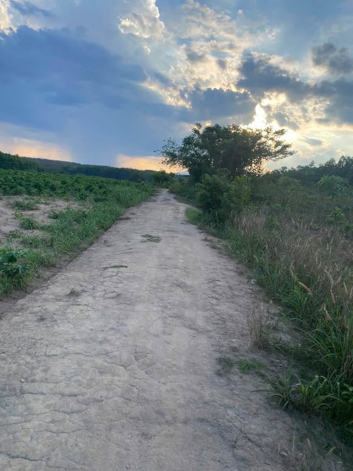 Đất thổ cư 100% tại thôn 2 Đăk Cấm 520m² giá 399 triệu - Cơ hội đầu tư hấp dẫn!