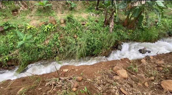 Cho thuê Farm 3ha Lộc Tân Bảo Lộc giá 120 triệu/năm - Đất triền thuận lợi