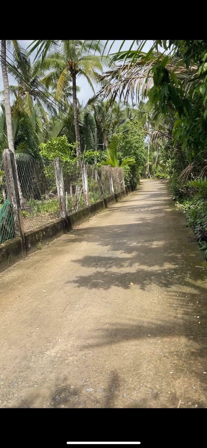 Đất ấp Tân Phước, Mỏ Cày Nam, 500m² giá 800 triệu - Đầu tư sinh lời ngay!