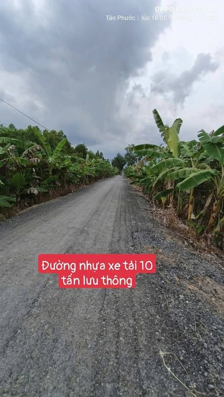 Đất nông nghiệp Tân Hòa Tây 88 công - Giá 12.8 tỷ - Cơ hội đầu tư hấp dẫn!