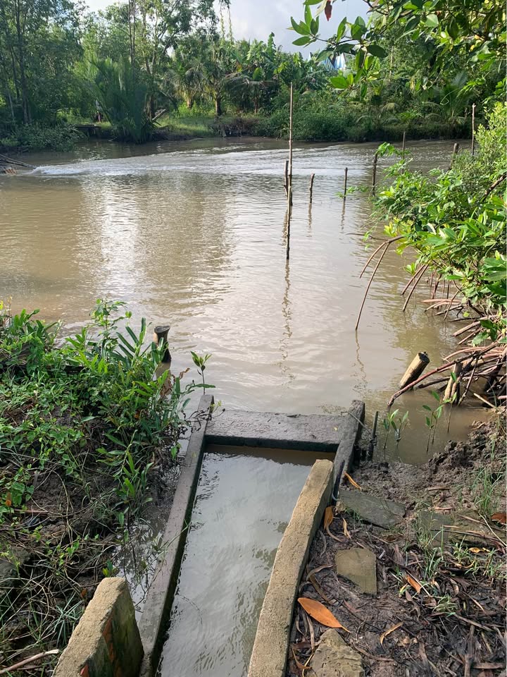 Đất nông nghiệp Tạ An Khương 18.000m² giá chỉ 600 triệu - Đầu tư sinh lời ngay!