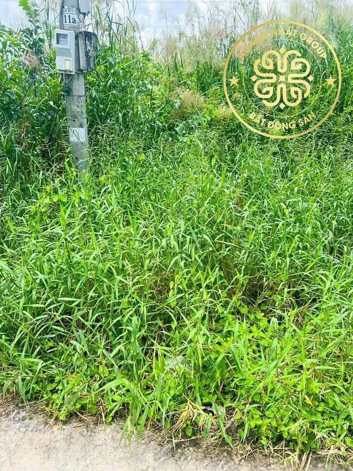 Đất nền Cà Mau 215m² giá 550 triệu - Cơ hội đầu tư tuyệt vời!