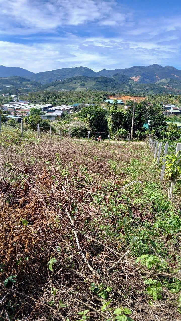 Đất nền Bảo Lộc 399m² giá 1.88 tỷ - Sẵn sàng xây dựng ngay!