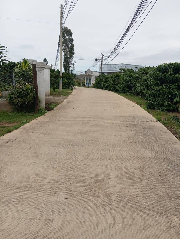 Đất mặt tiền đường bê tông xã Ninh Gia 15m² giá 1 tỷ - Đầu tư sinh lời ngay!