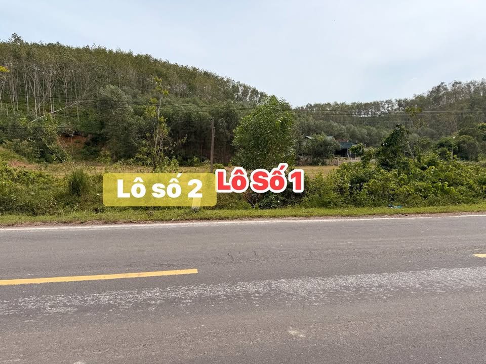 Đất nền Hương Khê 939m² giá chỉ 200 triệu - Cơ hội đầu tư sinh lời!