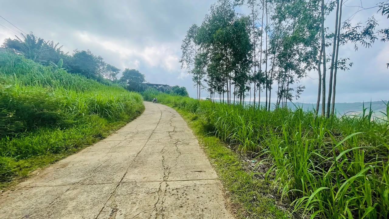 Bán lô đất mặt tiền đường Cao Nguyên Lam Sơn 602m² giá 325 triệu - Sổ hồng chính chủ!