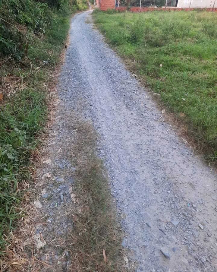 Lô đất thổ vườn ấp Hậu Hòa, xã Đức Hòa Thượng, 224m² giá 900 triệu - Cơ hội đầu tư tuyệt vời!