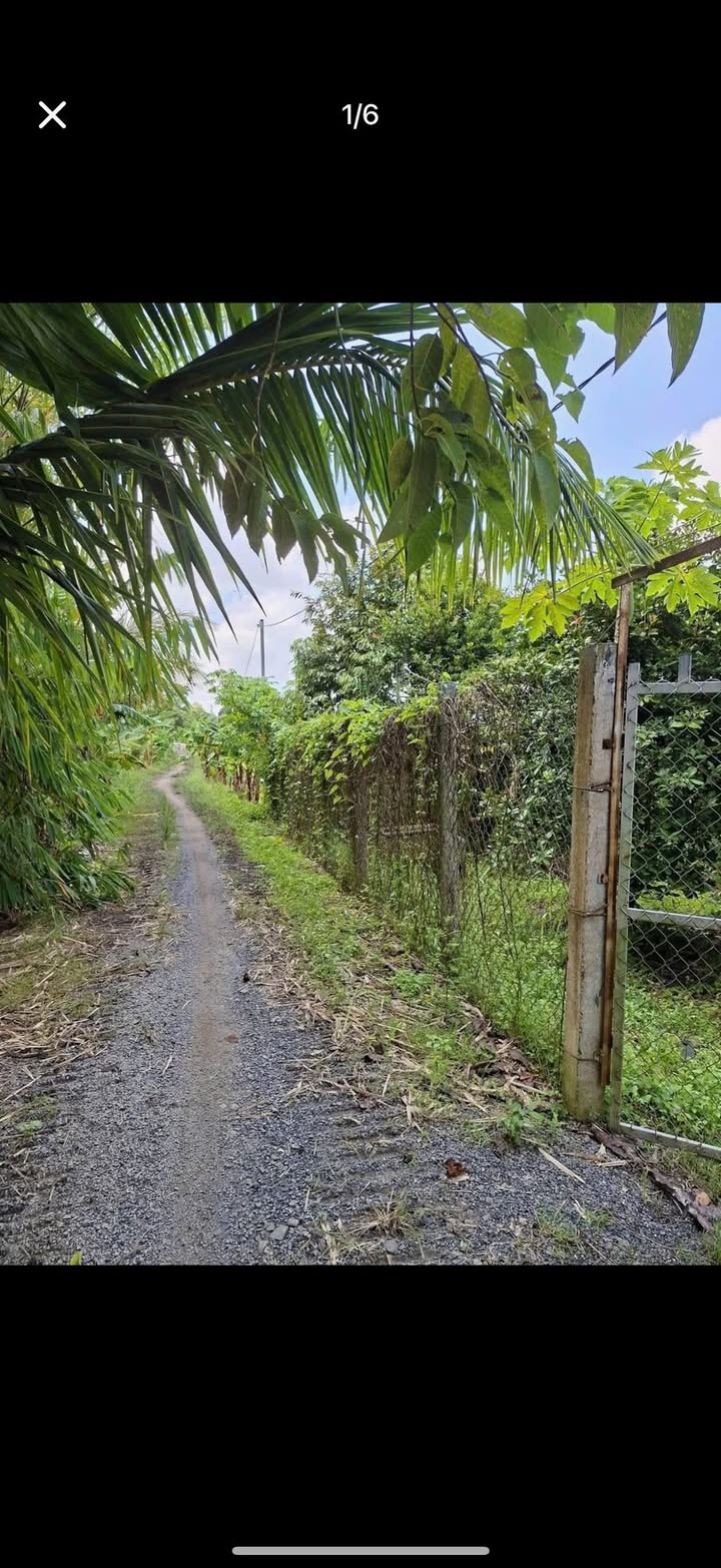 Đất vườn Long Xuyên 2.683m² giá 2.683 tỷ - Đầu tư lý tưởng!