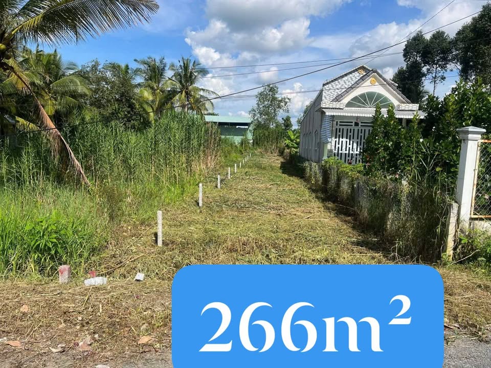 Đất nền Tân Quới Vĩnh Long 266m² giá 450 triệu - Chính chủ bán gấp!