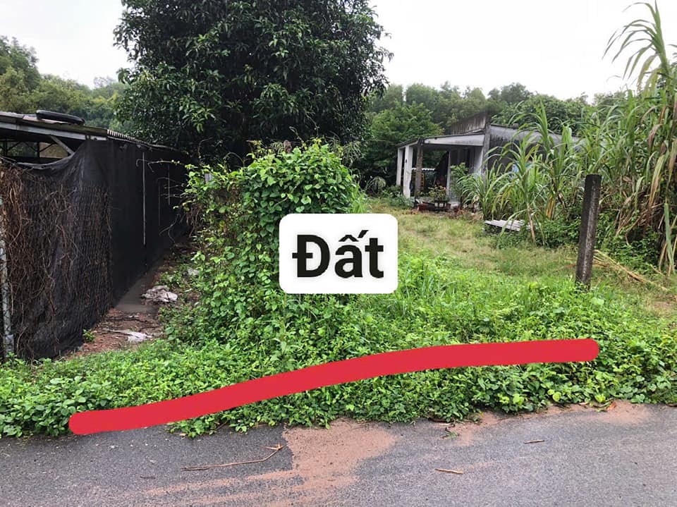 Đất nền Long Điền 260m² giá 1.39 tỷ - Sổ hồng chính chủ, giao dịch nhanh!