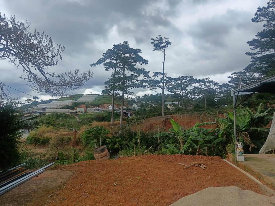 Nhà nguyên căn Đà Lạt 200m² giá 5 triệu - View đồi siêu chill!