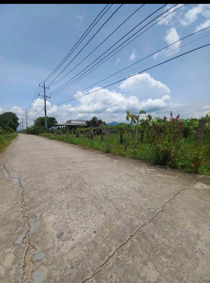 Đất Farm Xuân Điền 959m² giá chỉ 500 triệu - Cơ hội đầu tư hấp dẫn!