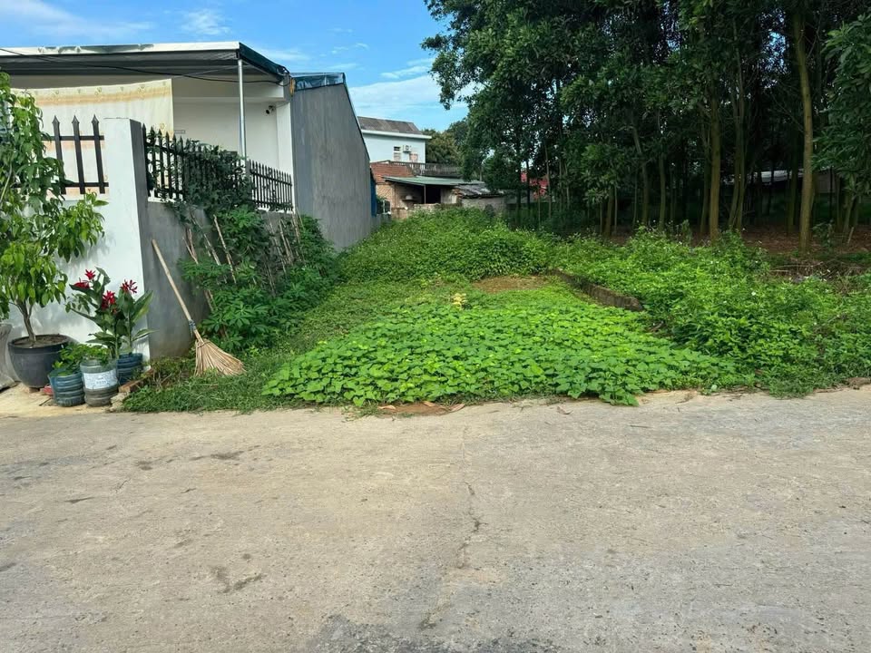 Đất thổ cư 60m² tại phường Tùng Thiện, Việt Trì giá 1.1 tỷ - Hạ tầng hoàn thiện!