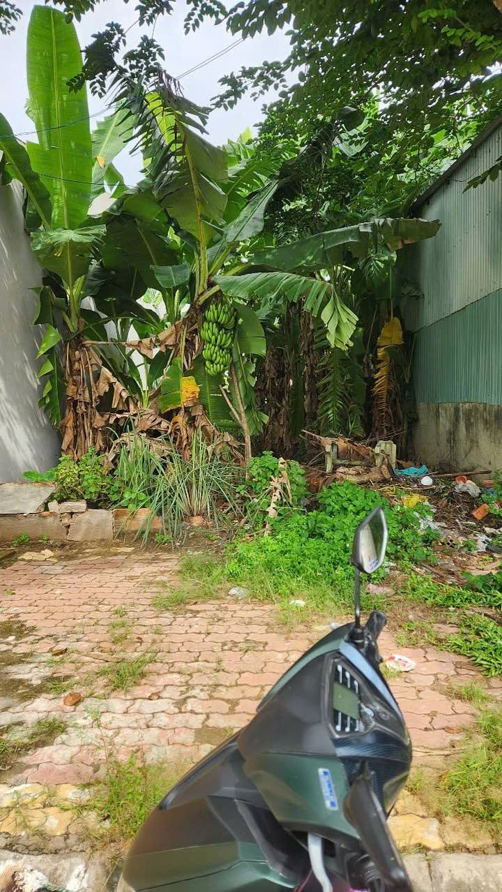 Lô đất thổ cư 100m² tại Khu dân cư Thái Sơn, Long Hậu - Giá chỉ 2.98 tỷ!