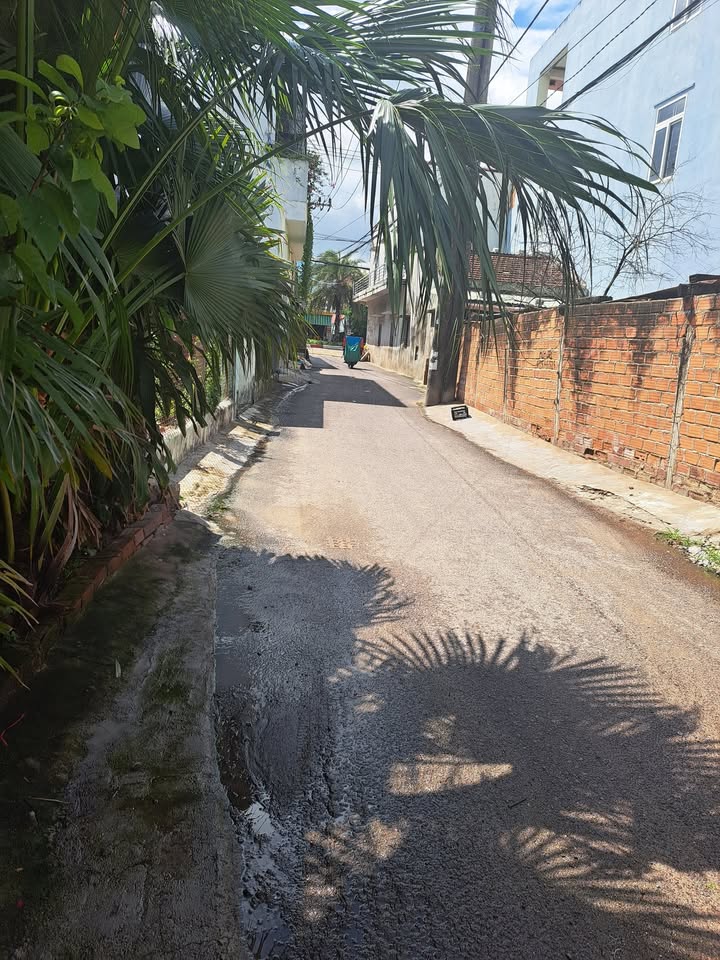 Nhà cấp 4 cho thuê tại Trần Quang Diệu 200m² chỉ 2.5 triệu/tháng - Phù hợp làm kho chứa hàng!