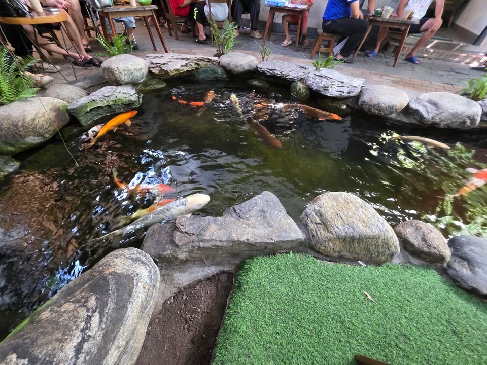 FrontHouse đường Phan Bội Châu, Hải Châu, 90m² giá 10.5 tỷ - Vị trí siêu đẹp, thuận tiện kinh doanh!