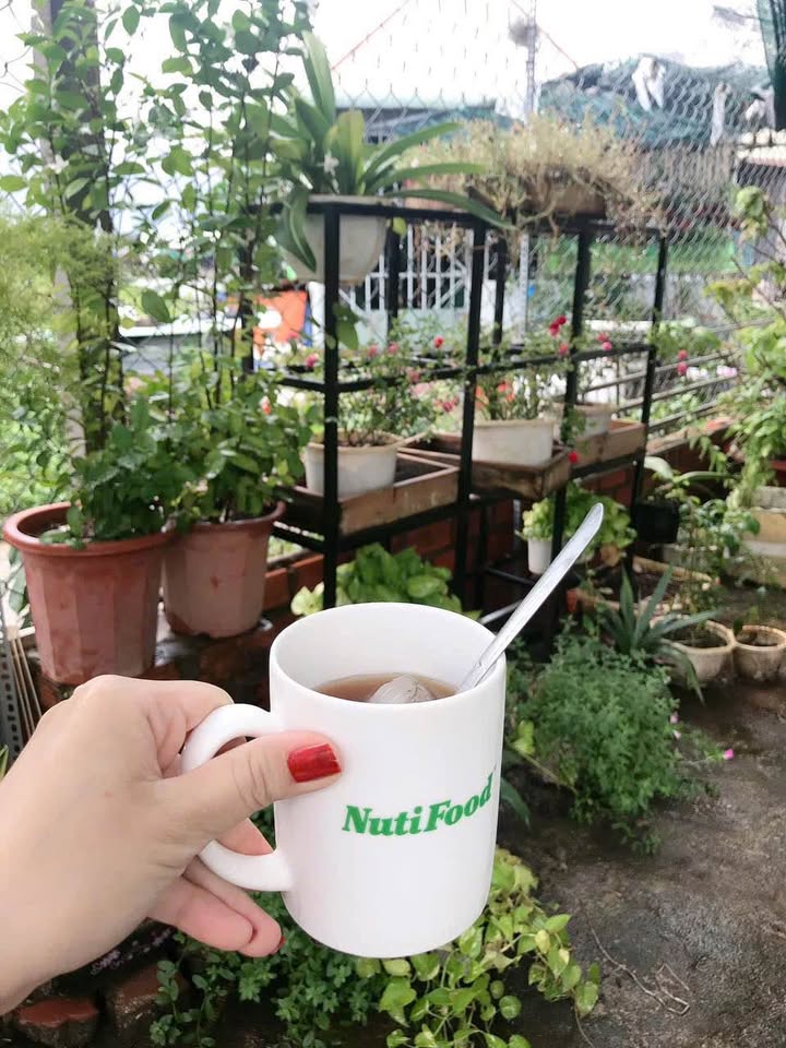 Đất thổ cư dự án Sông Cây Khế, Vũng Tàu 66m² giá 1.4 tỷ - Cơ hội đầu tư hấp dẫn!