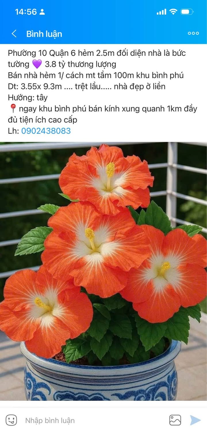 Nhà hẻm 2.5m phường 10 quận 6 giá 3.8 tỷ - Đẹp ở ngay!