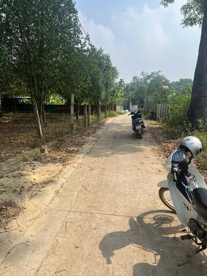 Đất nền 200m² tại Bình Yên, Thạch Thất - Giá chỉ vài triệu/m², chính chủ!