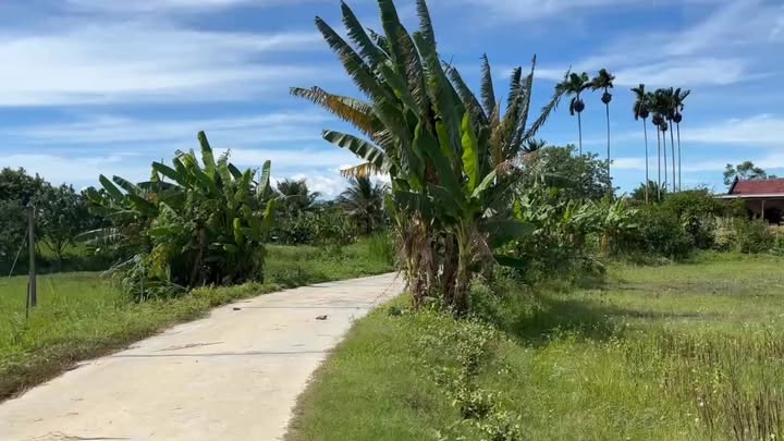 Đất Ninh Sơn 2137m² giá chỉ 4.27 tỷ - Đầu tư sinh lời ngay!