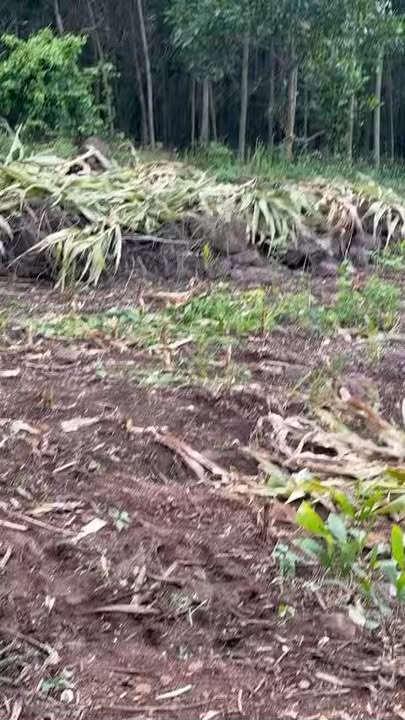 Đất nền Xuân Lộc 6,7 sào giá 1.34 tỷ - Đầu tư sinh lời ngay!