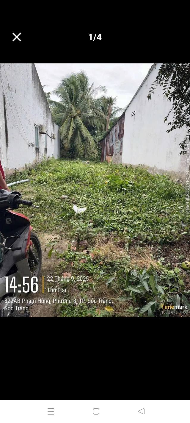 Bán vườn nghỉ dưỡng mặt tiền Phạm Hùng, Sóc Trăng 1200m² - Giá chỉ 2 tỷ!