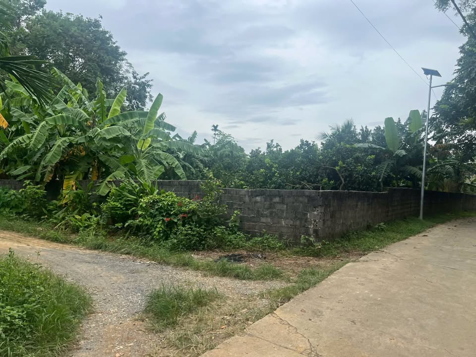 Đất thổ cư Nhuận Trạch 360m² giá 2.52 tỷ - Mặt tiền 14.3m, thương lượng tốt!