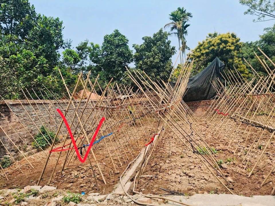 Đất nền Trạch Mỹ Lộc Phúc Thọ 42m² giá 1.2 tỷ - Sổ đỏ chính chủ!