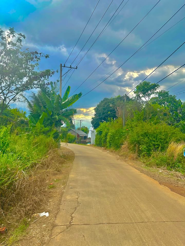 Đất nền 192m² tại Phường Bảo Vinh, Long Khánh - Sổ riêng, giá chỉ 1xxxxx!