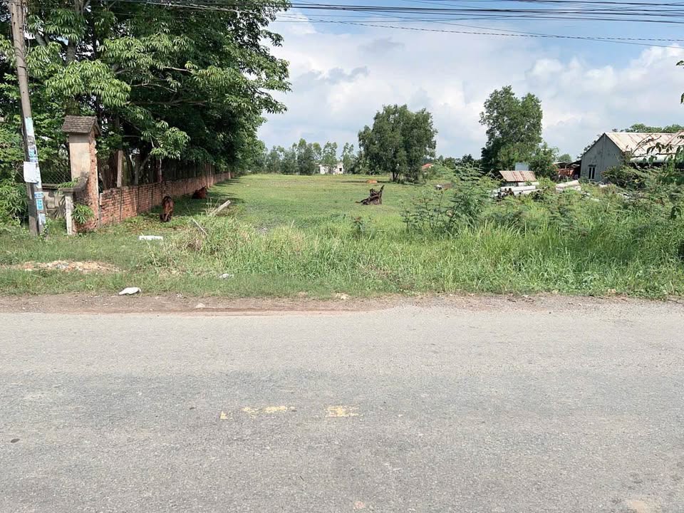 Đất thổ cư 2500m² tại xã Đức Lập Hạ, giá 28 tỷ - Mặt tiền đường nhựa rộng 15m!