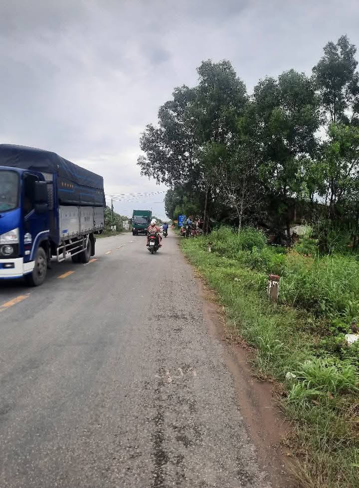 Đất Farm Tân Thành, Thủ Thừa, Long An 1000m² - Đầu tư sinh lời hấp dẫn!