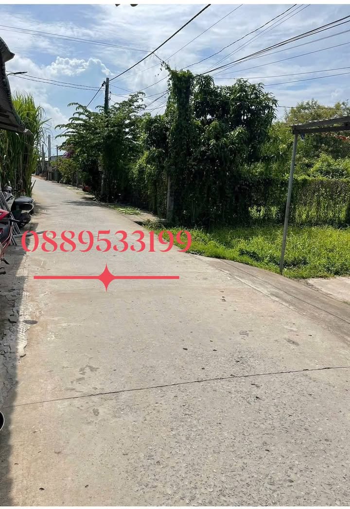 Đất nền mặt tiền đường Lê Hồng, thị trấn Chợ Lách, 225m² - Giá tốt chỉ 900 triệu!