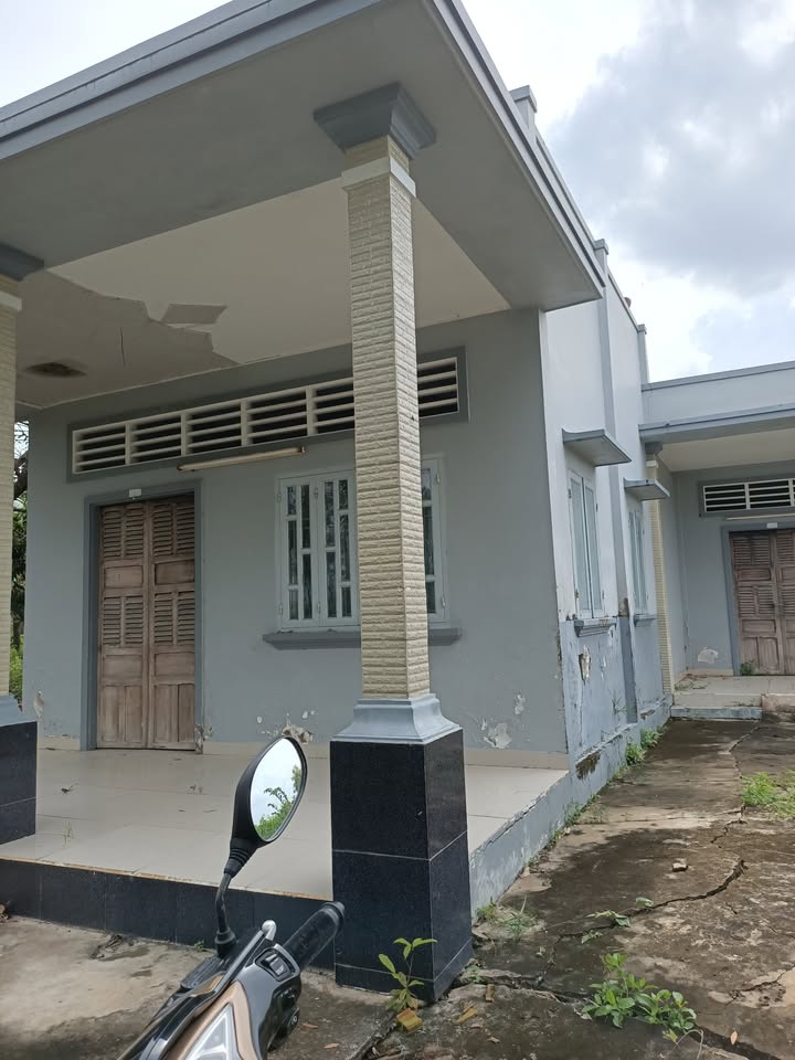 Đất thổ cư 538m² + Nhà C4 90m² tại Tân Trạch, Cần Đước - Giá 1.5 tỷ, đầu tư sinh lời!