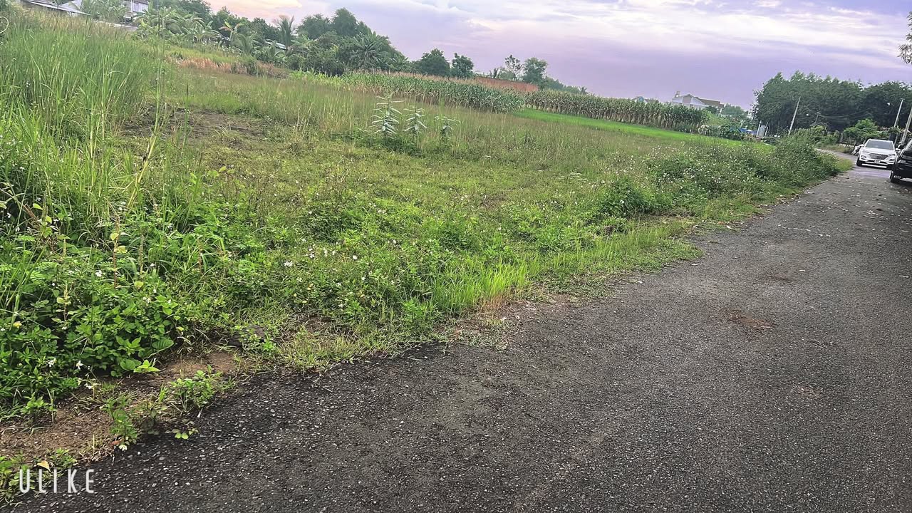 Đất thổ cư 113m² mặt đường nhựa Đồi 61 Trảng Bom - Giá 1.7 tỷ - Tiềm năng phát triển cao!