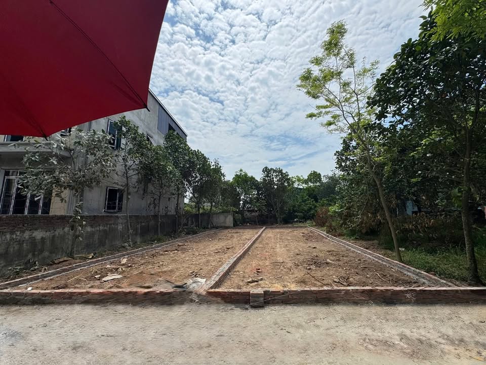 Đất thổ cư 100m² thôn Quan Nhân, xã Tam Hưng - Vị trí đẹp tiềm năng tăng giá!